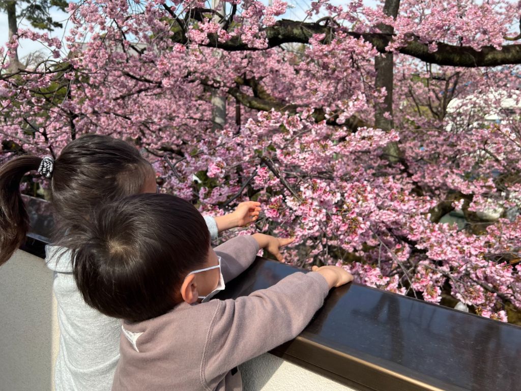 安行桜を楽しむ親子