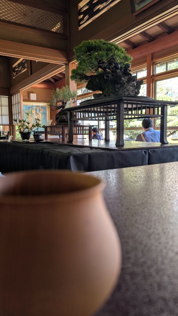 盆栽カフェ（茶碗と盆栽）