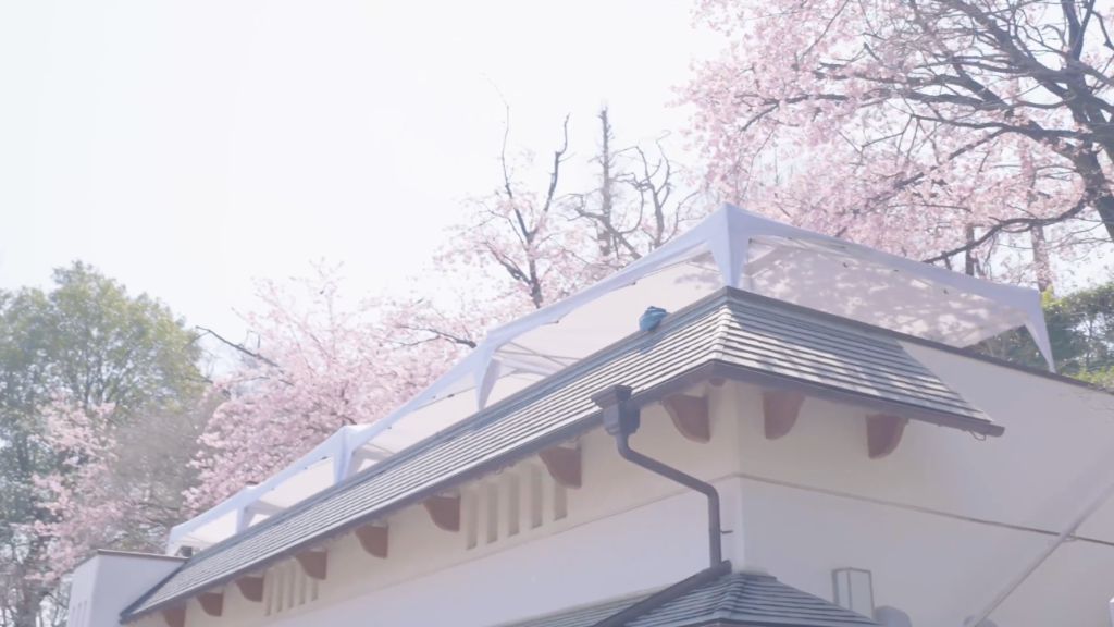 松雲閣と満開の安行桜